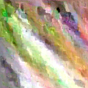 Parrot Tulip Bulbs 12 Pack - Exotic Black Beauty Flowers for Planting - Image 4