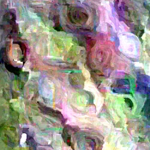 Ranunculus Flower Bulbs - 15 Pink Corms - Perennial Buttercup for Garden - Image 5