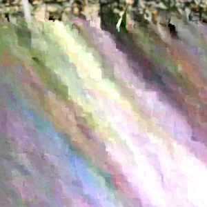 Agave Desmettiana Succulent Live Plant – 4 Baby Plants – Indoor/Outdoor - Image 1