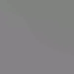 Red Wax Apple Live Fruit Tree - Air Layered, 3ft Tall - Tropical - Image 2