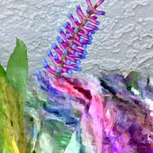 Matchstick Bromeliad Live Plant - Aechmea Gamosepala - Indoor & Outdoor - Image 1