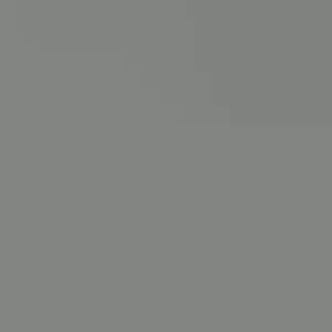 Miracle Berry Live Tree - 2ft+ Tall, Flowering, 3 Gallon Pot - Synsepalum dulcificum - Image 3