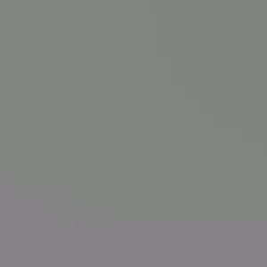 Miracle Berry Live Tree - 2ft+ Tall, Flowering, 3 Gallon Pot - Synsepalum dulcificum - Image 2