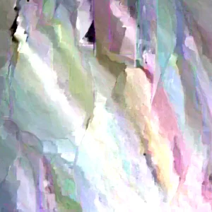 Brogdon Avocado Live Plant – 3ft Air Layered Tree – Outdoor Fruit Tree - Image 2