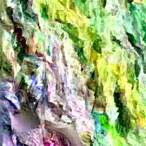 Mauritius Lychee Live Plant – Air Layered, 3ft Tall Tropical Fruit Tree - Image 1