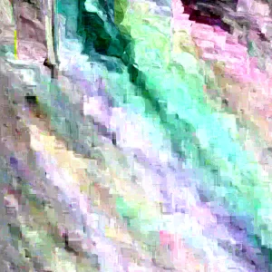 Kaffir Lime Tree Grafted Live Plant - Almost 4ft Tall - Outdoor Citrus - Image 1