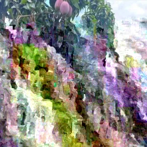 Mango Live Tropical Fruit Tree - 10-14 inch Live Plant for Indoor & Outdoor - Image 3