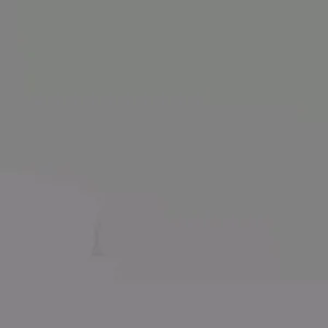 Longan Dimocarpus Fruit Tree Live Plant, Tropical, 5-8 inches Tall, Outdoor - Image 8