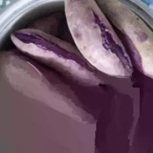 10 Purple Sweet Potato Slips - Live Plant Cuttings for Growing - Image 1