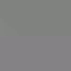 10 White Sweet Potato Slips - Asian Sweet Potato Cuttings for Planting - Image 6