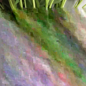 15 Okinawa Purple Sweet Potato Slips - Organic Cuttings - Live Plant - Image 1