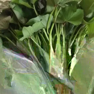 Sweet Potato Slips Variety Pack - 15 Live Slips (Beauregard, Japanese White, Purple) for Planting - Image 1