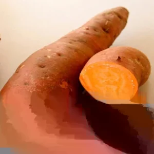 Beauregard Sweet Potato Plants - 5 Organic Live Slips for Growing Full Sun - Image 5