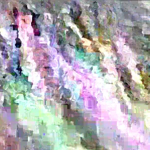 Mango Live Plant - Tropical Fruit Tree Seedling 6-9