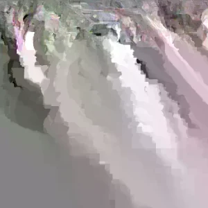 Papaya Live Plant - Organic, Fast Growing Carica Tree, 5-10 Inches Tall - Image 1