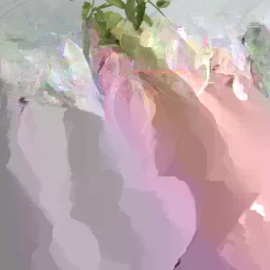 Katuk Plant Live - Sauropus Androgynus Sweet Leaf Spinach Potted Vegetable - Image 4