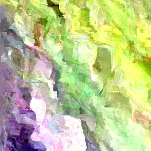 African Potato Mint Live Plant - 3 Plants in Cup, 5-8