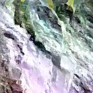 Grafted Mango Live Tropical Fruit Tree - 15-25 Inch Tall Plant - Indoor/Outdoor - Image 3