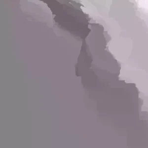 Guava Fruit Tree Live Plant 5-8 inch Tall Tropical Delicious - Image 2