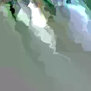 Guava Fruit Tree Live Plant, 9-15 inches Tall - Tropical & Delicious Edible Fruit - Image 2