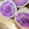 3 Okinawa Purple Sweet Potato Plants - Organic Slips for Planting, Full Sun - Image 1