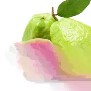 Pink Guava Fruit Tree Plant – Live Tropical Fruit Plant, 9-12 Inches Tall - Image 2