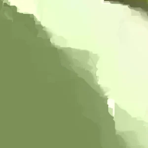 10 Red Japanese Sweet Potato Cuttings - Organic, Ready to Plant Slips - Image 2