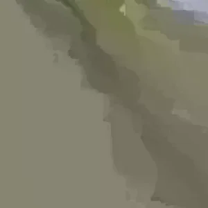 Papaya Plant Live – Organic, Fast Growing, 5-10 Inches Tall – Tropical Fruit Tree - Image 1