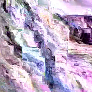 Annona Muricata Graviola Soursop Guanabana Fruit Tree Live Plant 12-16