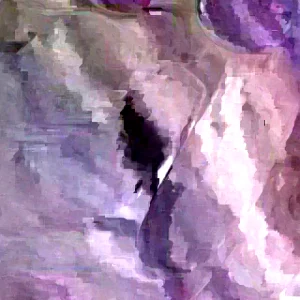 5 Purple Okinawa Sweet Potato Plants - Live Edible Vegetable Plant, Potted - Image 4