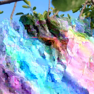 Annona Muricata Mountain Soursop Tree Live Plant 12-20 in Tall - Tropical Fruit Tree - Image 4