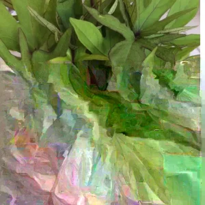 10 Orange Sweet Potato Slips | Copper Jewel Cuttings for Planting - Image 7