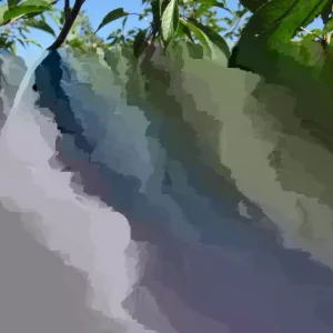 Wild Plum Tree Live Plant (Prunus spp.) - Set of 2 - 18+ Inches Tall - Outdoor - Image 1