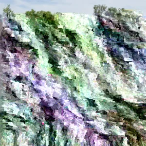 Fireside Ninebark Live Plant Physocarpus opulifolius - 14+ Inches Tall Bare Root Shrub - Image 1