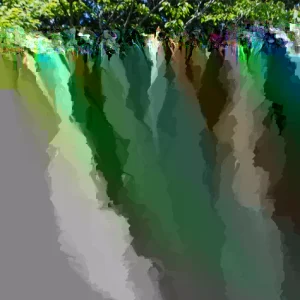 Yew Plum Pine Podocarpus Macrophyllus Live Starter Plant – 6+ Inches – Set of 2 - Image 2