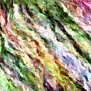 Eastern Redbud Tree Live Plant - Cercis canadensis - 16-24 Inches Tall - 1-2 Year Old - Image 1