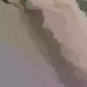 Minuet Weigela florida Live Well Rooted Cutting Plant 8-12 Inches Outdoor - Image 3