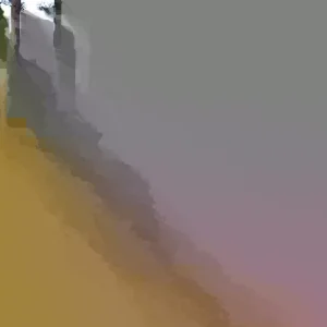 Dwarf Winterberry Holly 'Nana Red Sprite' Live Plant 12-16 Inches Tall, Bare Root, Outdoor - Image 2