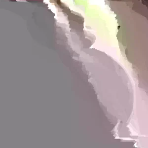 Mixed Color Yarrow Live Bare Root Plants - Set of 3 Perennial Herb Outdoor - Image 2