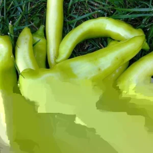 Sweet Banana Pepper Seeds - 50+ Count Seed Packet for Gardening - Image 2