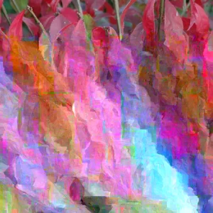 Burning Bush Cuttings - Set of 12 Unrooted, 6-8 Inches Tall, Euonymus alatus - Image 1