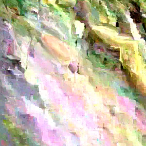 Rose of Sharon Live Plant Set – 2 Plants, 6-12 Inches Tall, 1-2 Year Old, Outdoor - Image 2