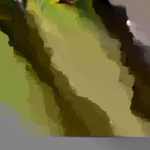 Witch Hazel Hamamelis vernalis Bare Root Starter Plant 8-16 Inch - Outdoor Bush - Image 1