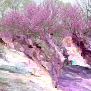 Eastern Redbud Tree (Cercis canadensis) Live Plants 16-24 Inches Tall - Set of 4 - Image 2