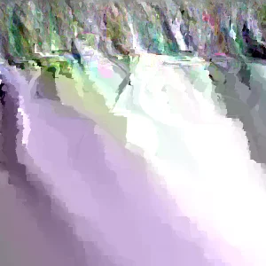 Mimosa Tree Seeds - 50 Count Pack - Outdoor Flowering Albizia julibrissin - Image 1