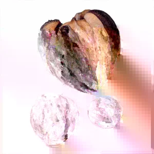 Shellbark Hickory Tree Live Plant - 18+ Inches Tall, Set of 2 Bare Root - Image 5