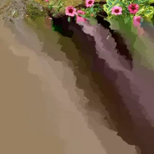 Potentilla Miss Willmott Seeds - 100 Perennial Flowering Groundcover Seeds, Pink/Red, Outdoor - Image 1