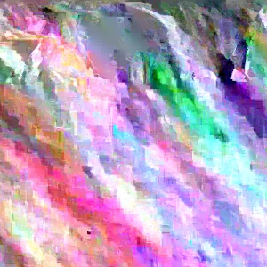 Orange Trumpet Vine Live Plant Starter - 8-16 Inches, Hummingbird Vine, Bare Root - Image 1