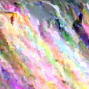 Orange Trumpet Vine Live Plant Starter - 8-16 Inches, Hummingbird Vine, Bare Root - Image 4