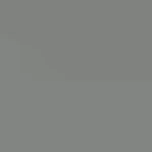 Arrowwood Viburnum Shrub Live Plant 8-12+ Inches Tall - Outdoor Flowering Bush - Image 3